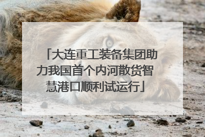大连重工装备集团助力我国首个内河散货智慧港口顺利试运行