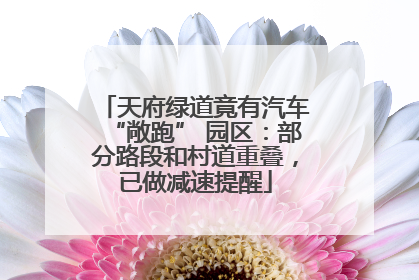 天府绿道竟有汽车“敞跑” 园区：部分路段和村道重叠，已做减速提醒