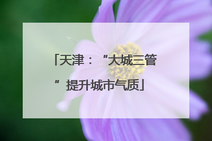 天津：“大城三管”提升城市气质