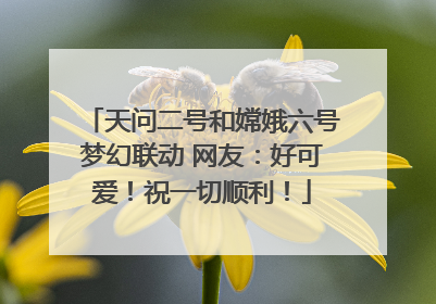 天问二号和嫦娥六号梦幻联动 网友：好可爱！祝一切顺利！