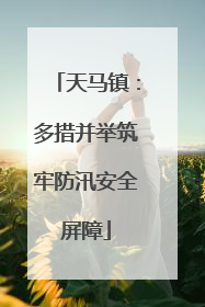 天马镇：多措并举筑牢防汛安全屏障