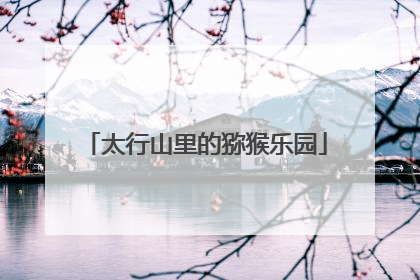 太行山里的猕猴乐园