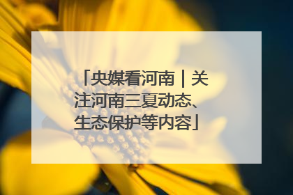 央媒看河南｜关注河南三夏动态、生态保护等内容