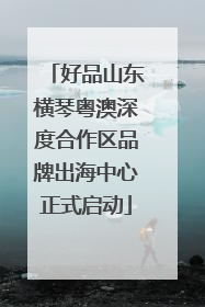 好品山东横琴粤澳深度合作区品牌出海中心正式启动
