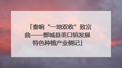 奏响“一地双收”致富曲——鄄城县董口镇发展特色种植产业侧记