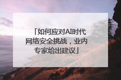 如何应对AI时代网络安全挑战，业内专家给出建议