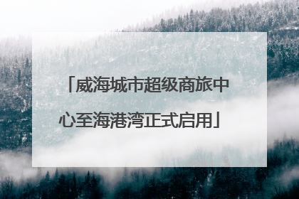 威海城市超级商旅中心至海港湾正式启用
