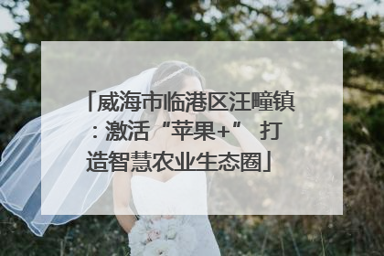 威海市临港区汪疃镇：激活“苹果+” 打造智慧农业生态圈