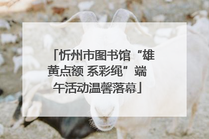 忻州市图书馆“雄黄点额 系彩绳”端午活动温馨落幕