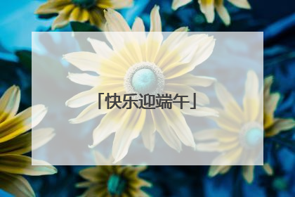 快乐迎端午