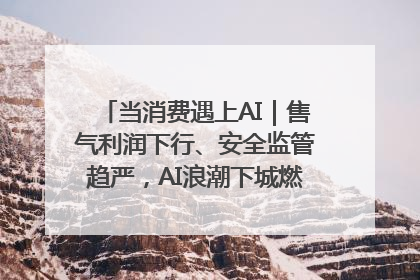 当消费遇上AI｜售气利润下行、安全监管趋严，AI浪潮下城燃企业如何破局