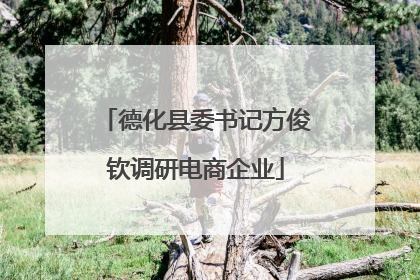 德化县委书记方俊钦调研电商企业