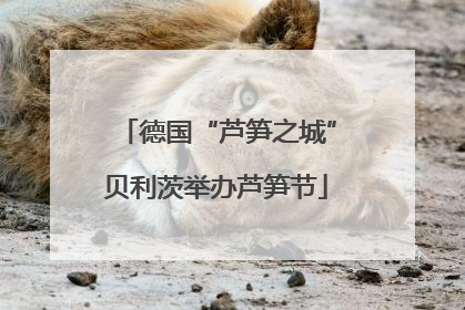 德国“芦笋之城”贝利茨举办芦笋节