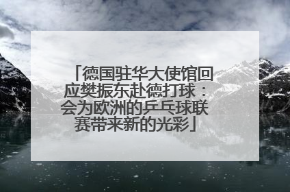 德国驻华大使馆回应樊振东赴德打球：会为欧洲的乒乓球联赛带来新的光彩