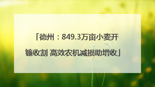 德州：849.3万亩小麦开镰收割 高效农机减损助增收