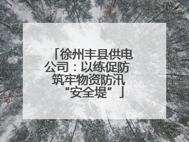 徐州丰县供电公司：以练促防 筑牢物资防汛“安全堤”