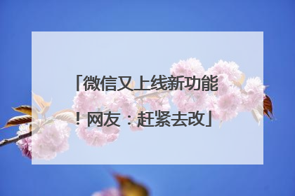 微信又上线新功能！网友：赶紧去改