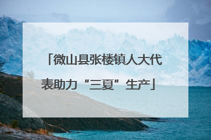 微山县张楼镇人大代表助力“三夏”生产
