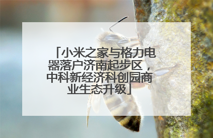 小米之家与格力电器落户济南起步区，中科新经济科创园商业生态升级