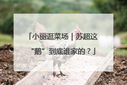 小丽逛菜场｜苏超这“鹅”到底谁家的？