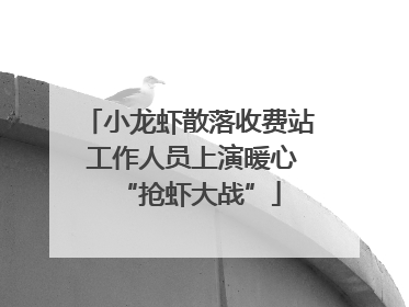 小龙虾散落收费站 工作人员上演暖心“抢虾大战”