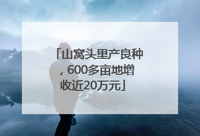 山窝头里产良种，600多亩地增收近20万元