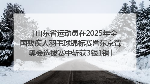 山东省运动员在2025年全国残疾人羽毛球锦标赛暨东京聋奥会选拔赛中斩获3银1铜