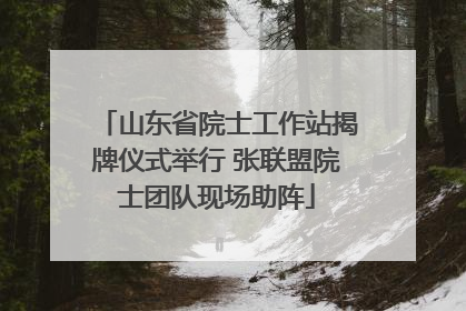 山东省院士工作站揭牌仪式举行 张联盟院士团队现场助阵