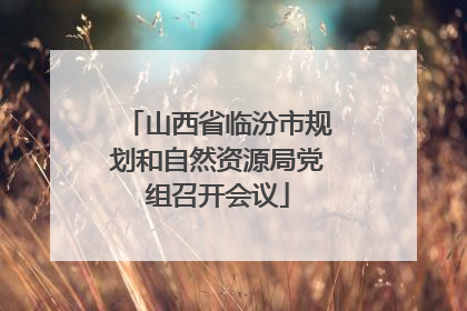 山西省临汾市规划和自然资源局党组召开会议