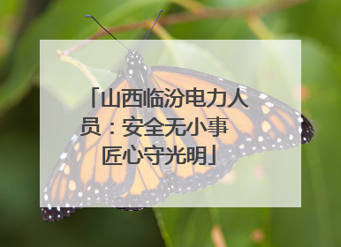 山西临汾电力人员：安全无小事 匠心守光明