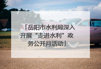 岳阳市水利局深入开展“走进水利”政务公开月活动