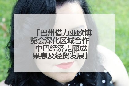 巴州借力亚欧博览会深化区域合作 中巴经济走廊成果惠及经贸发展