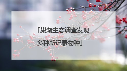 巢湖生态调查发现多种新记录物种