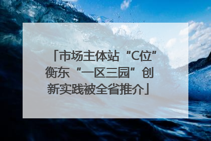 市场主体站“C位” 衡东“一区三园”创新实践被全省推介