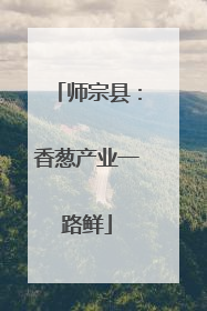 师宗县：香葱产业一路鲜