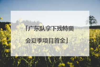 广东队拿下残特奥会夏季项目首金