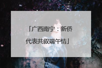 广西南宁：新侨代表共叙端午情