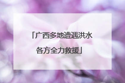 广西多地遭遇洪水 各方全力救援