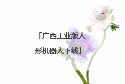 广西工业版人形机器人下线