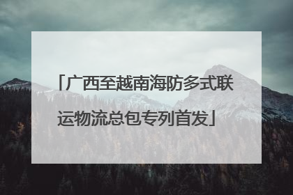 广西至越南海防多式联运物流总包专列首发