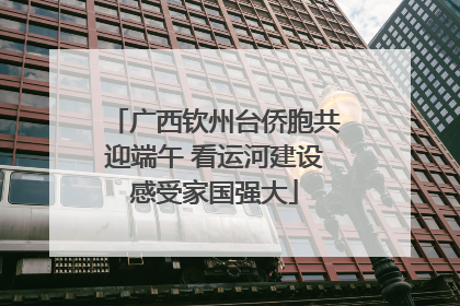 广西钦州台侨胞共迎端午 看运河建设感受家国强大