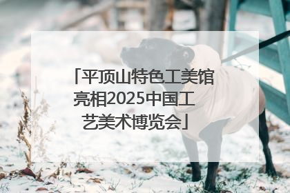 平顶山特色工美馆亮相2025中国工艺美术博览会