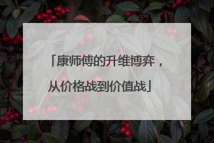 康师傅的升维博弈，从价格战到价值战