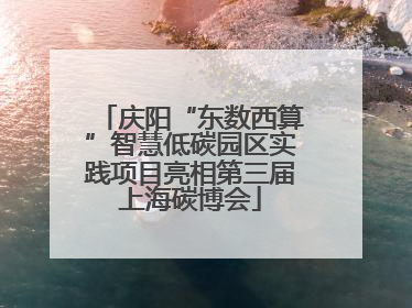 庆阳“东数西算”智慧低碳园区实践项目亮相第三届上海碳博会