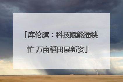 库伦旗：科技赋能插秧忙 万亩稻田展新姿
