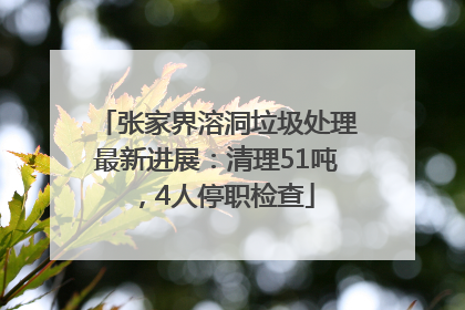 张家界溶洞垃圾处理最新进展：清理51吨，4人停职检查