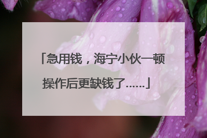 急用钱，海宁小伙一顿操作后更缺钱了……