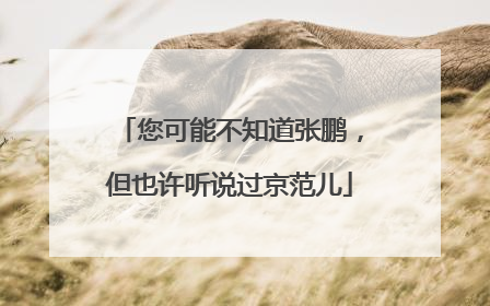 您可能不知道张鹏，但也许听说过京范儿