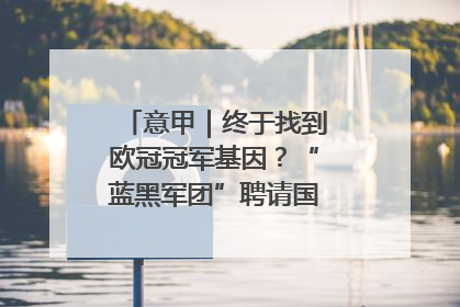 意甲｜终于找到欧冠冠军基因？“蓝黑军团”聘请国米名宿齐沃执教