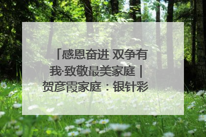 感恩奋进 双争有我·致敬最美家庭｜贺彦霞家庭：银针彩线绣出好日子